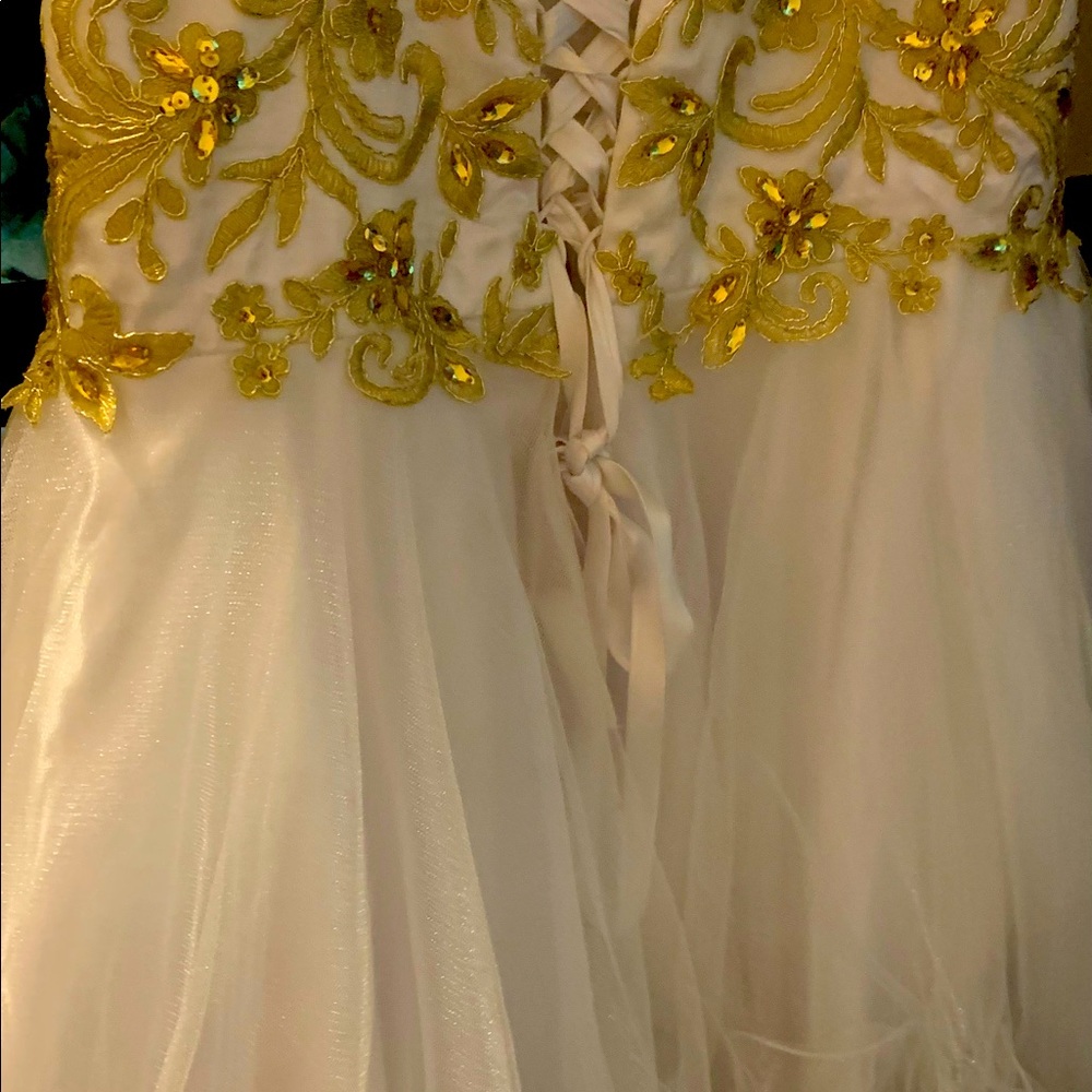 A formal mini dress warm wants to senior prom paid 250 for it.